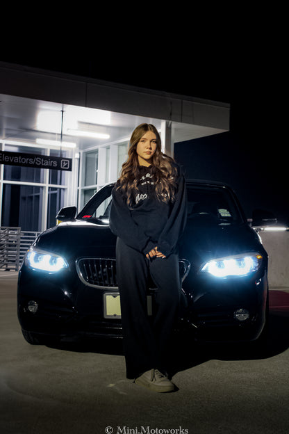 Speed has never killed anyone hoodie V2